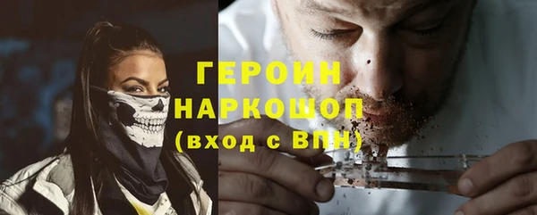 молекула духа Богданович