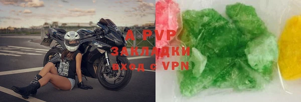молекула духа Богданович