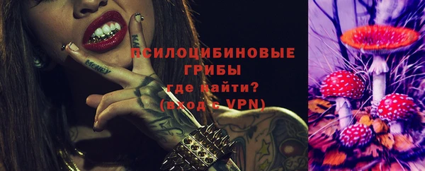 винт Белокуриха