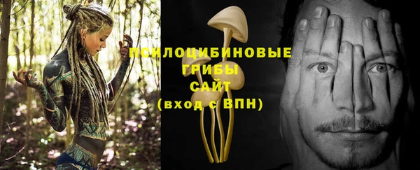 винт Белокуриха
